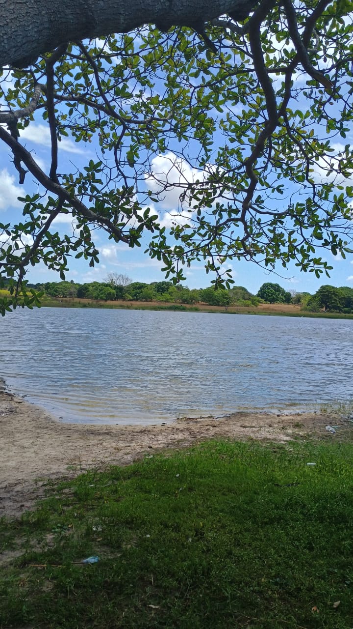 Terreno na Praia do Iguape - Vista 2